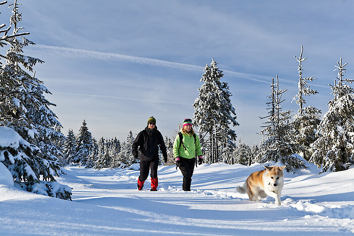 Winterurlaub am Dreisessel